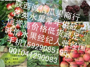 澳门精准资料水果奶奶,诚实解答解释落实_模拟版72.77.19